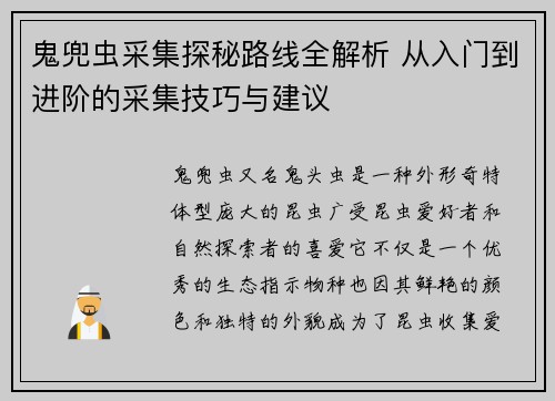 鬼兜虫采集探秘路线全解析 从入门到进阶的采集技巧与建议